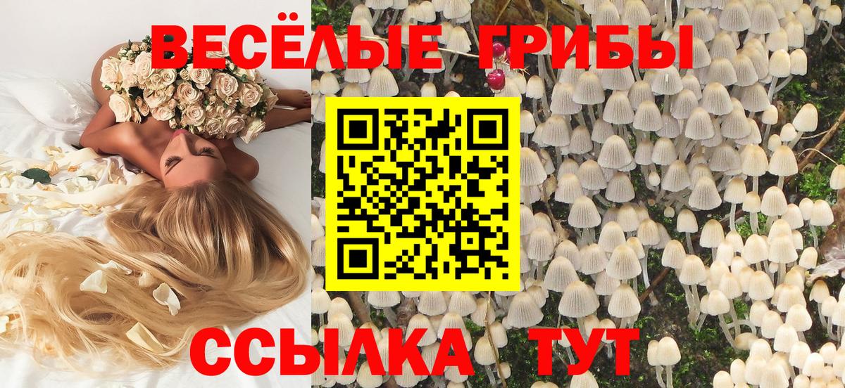 Псилоцибиновые грибы ЛСД Брянск